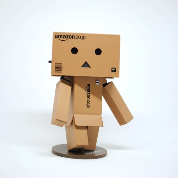 Guide: Is Amazon right for everyone?