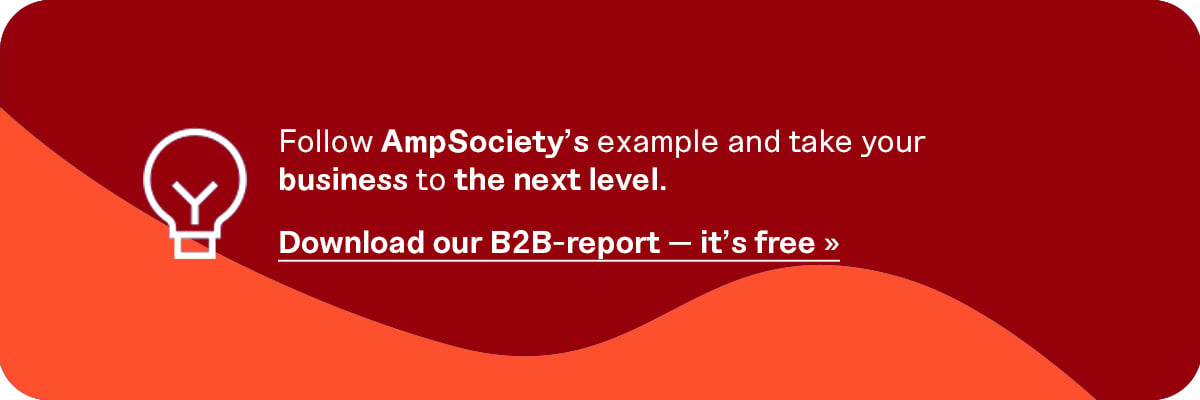 Amp_b2breport_EN