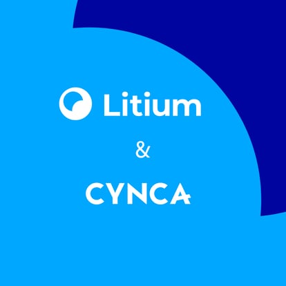Litium signs group-wide framework agreement with Cynca (formerly Vestum)
