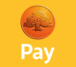 Swedbank Pay 