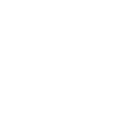 lock_vit